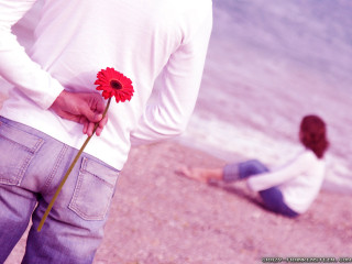 Man holding flower woman beach 2 - romantic free wallpaper for desktop