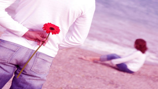 Man holding flower beach kneeling - another man free wallpaper for desktop
