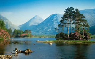 Lake mountains trees animals birds 3 - alexander johnston free wallpaper