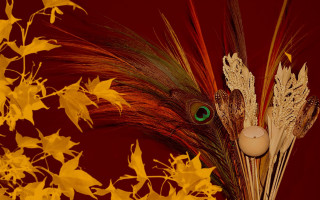 Vase feather green eye yellow - a still life free wallpaper