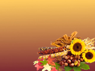 Fall flowers leaves tabletop brown - fall vibrancy free wallpaper