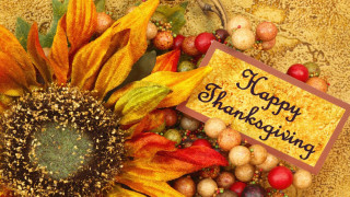 Sunflower thanksgiving card autumn decorations 2 - free holidays wallpaper