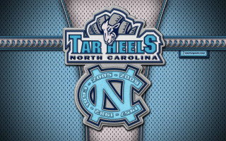 Blue silver tarheels horse northcarolina - the side of free wallpaper