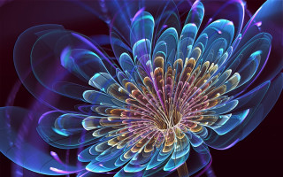 Blue flower purple center fractals - the center of the flower free wallpaper