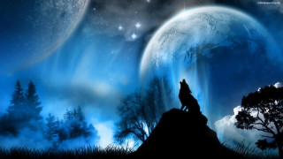 Wolf hill moon stars sky - the moon free wallpaper