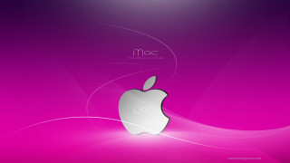 Pink apple wallpaper white apple 3 - a white apple free wallpaper