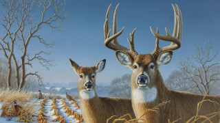 Two deer snow covered grass - detailed oil painting free wallpaper