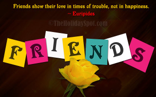Yellow rose friends sign yellow - friend free wallpaper
