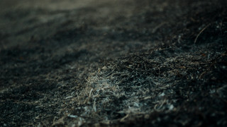 Dirt pile closeup blurry background - octane renderer free wallpaper