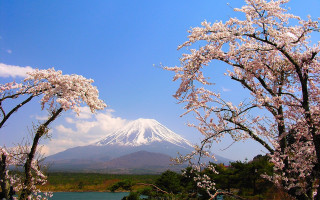 Mountain snow capped peak trees 6 - the foreground and a body of water free wallpaper