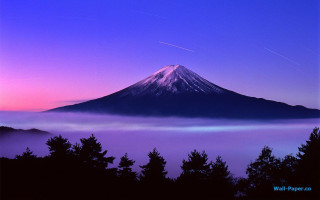 Mountain fog trees plane flying - fog free wallpaper