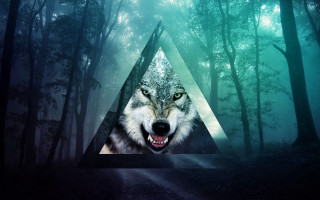 Wolf forest triangle background light - a wolf free wallpaper