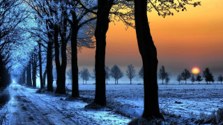 Snowy road trees sunset distance - the distance behind free wallpaper