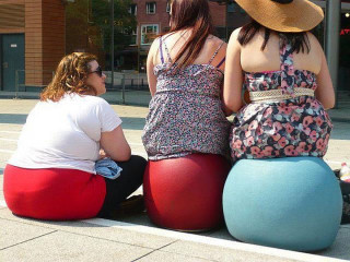 Three women large ball dog - optical illusion free wallpaper