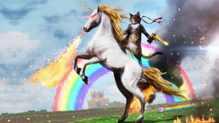 Cat riding unicorn rainbow field - field free wallpaper
