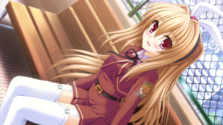 Woman blonde hair red shirt - a picture in front free wallpaper