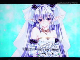 Woman wedding dress tv screen - a message free wallpaper