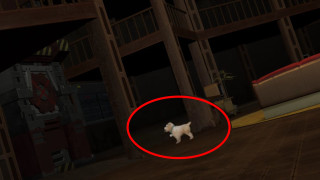 Dog walking dark room red - a red circle free wallpaper for desktop