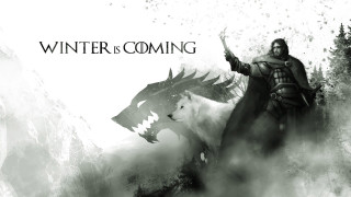 Man riding white horse wolf 2 - the back free wallpaper