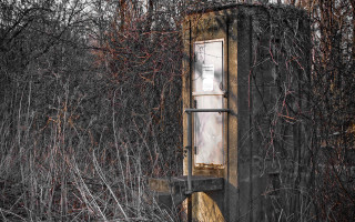 Door field dead grass trees - vine free wallpaper for desktop