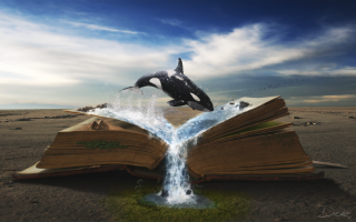 Book whale jumping water waterfall - page free wallpaper