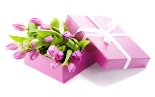 Pink box white ribbon flower - araceli gilbert free wallpaper for desktop