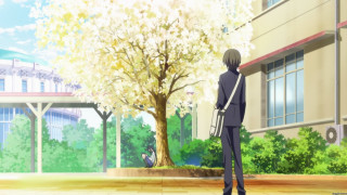 Man tree courtyard building autumn - kyoto animation free wallpaper for desktop