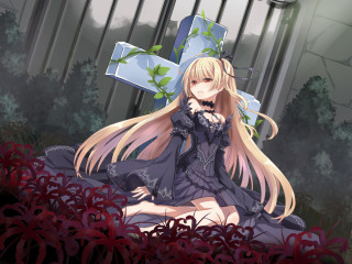 Woman field flowers cross background - in the foreground free wallpaper