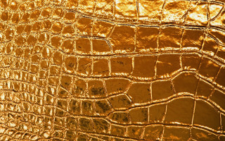 Gold crocodile skin texture close - texture free wallpaper