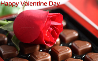 Rose chocolates valentines day card - free valentines wallpaper