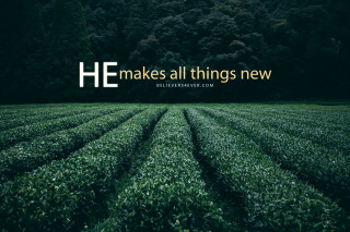 Green grass field quote new - he free wallpaper