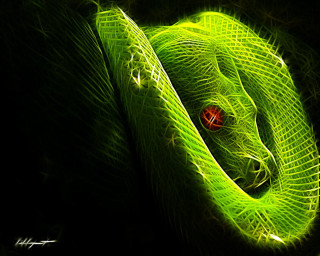 Green snake red eye dark - anton graff free wallpaper