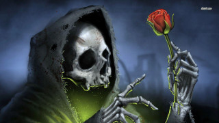 Skeleton holding rose dark background - a skeleton holding free wallpaper