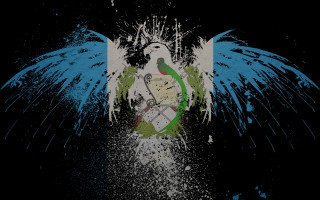 Bird wings splats digital aurora - digital artwork free wallpaper