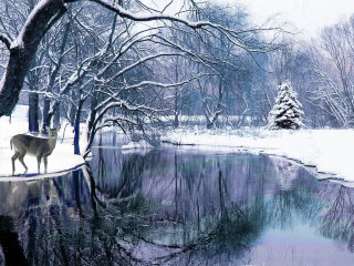 Deer snowy pond bare trees - american scene painting free wallpaper