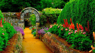 Garden stone arch colorful flowers - colorful flower free wallpaper