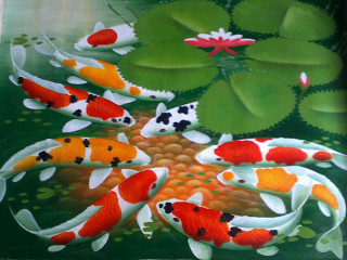 Koi fish swimming pond lily - the waters surface free wallpaper