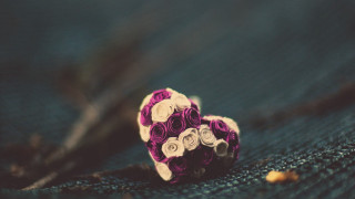 Bouquet bluecloth blackbackground bluejeanspocket roses - a blue cloth free wallpaper