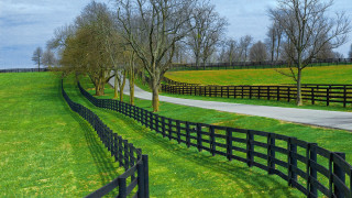 Black fence grassy field road - a black fence free wallpaper