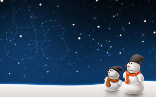 Snowman snowdog standing snow night - the snow free wallpaper for desktop