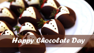 Chocolate strawberries happy message white - chocolate free wallpaper