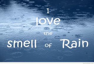 Rain soaked window love smell - allen tupper true free wallpaper