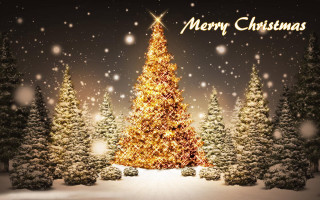 Christmas tree lit snow merry - merry free wallpaper