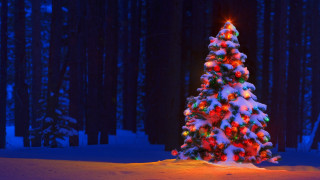 Lit christmas tree snowy forest - ground free wallpaper