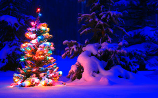 Christmas tree snow blue background - ernest william christmas free wallpaper