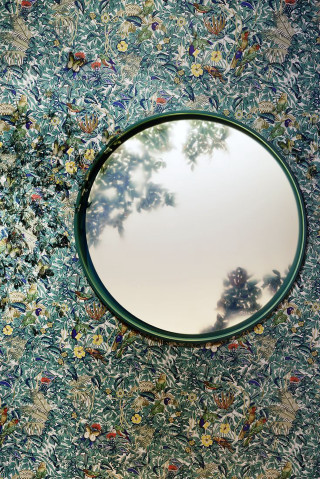 Round mirror wall tree reflection - round free wallpaper for mobile