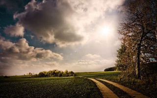 Path tree field cloudy sky - a sunbeam in the distance free wallpaper