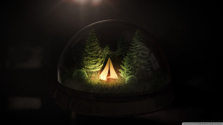 Tent glass dome trees night - vray free wallpaper