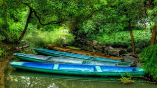 Three canoes river bank woods - cao buxing free wallpaper