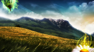 Person holding flower field mountains - a hot air balloon free wallpaper